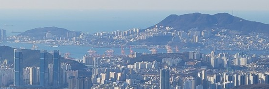 전문가 팀 이미지